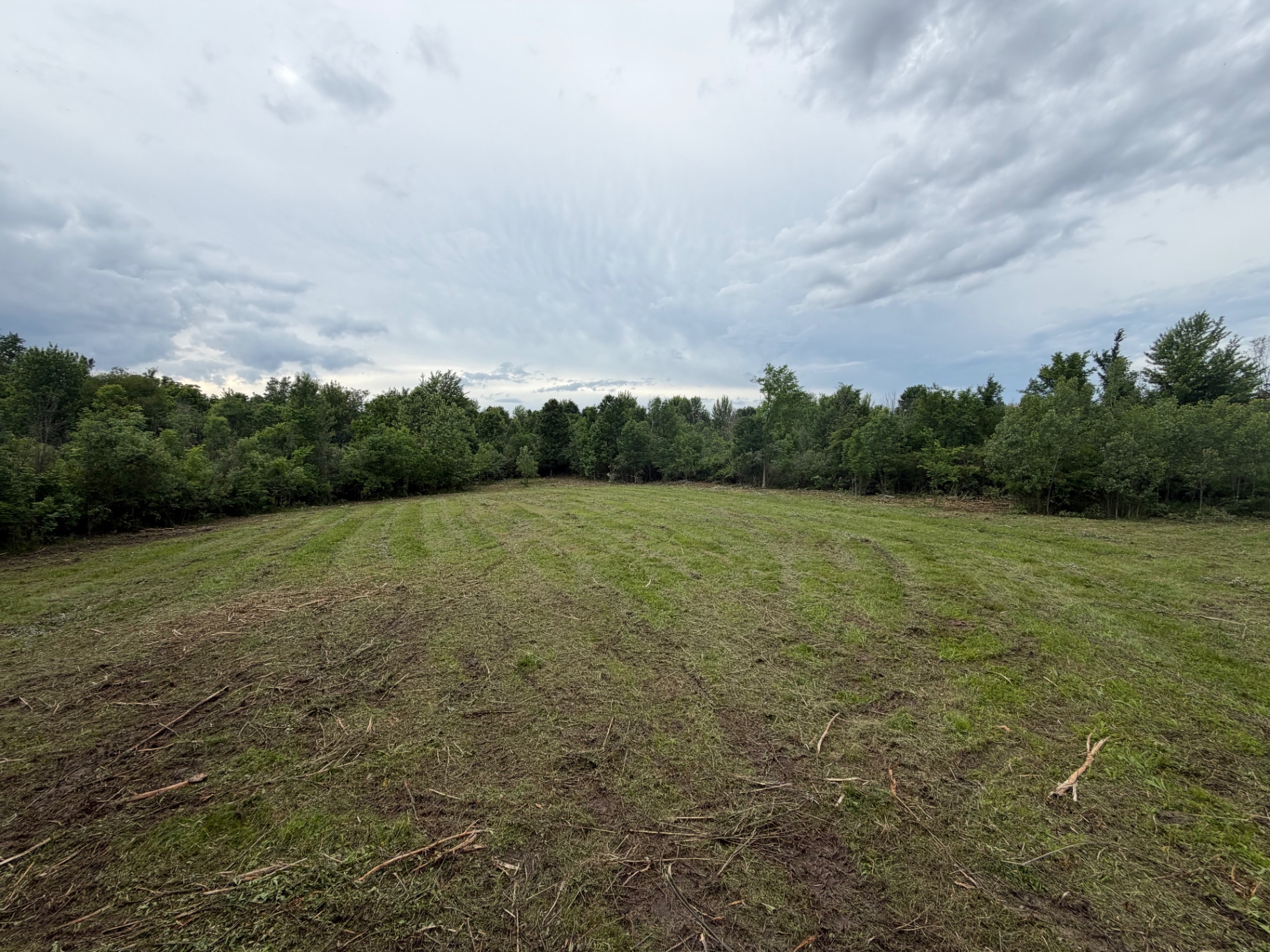 Food plot before and after clearing — after